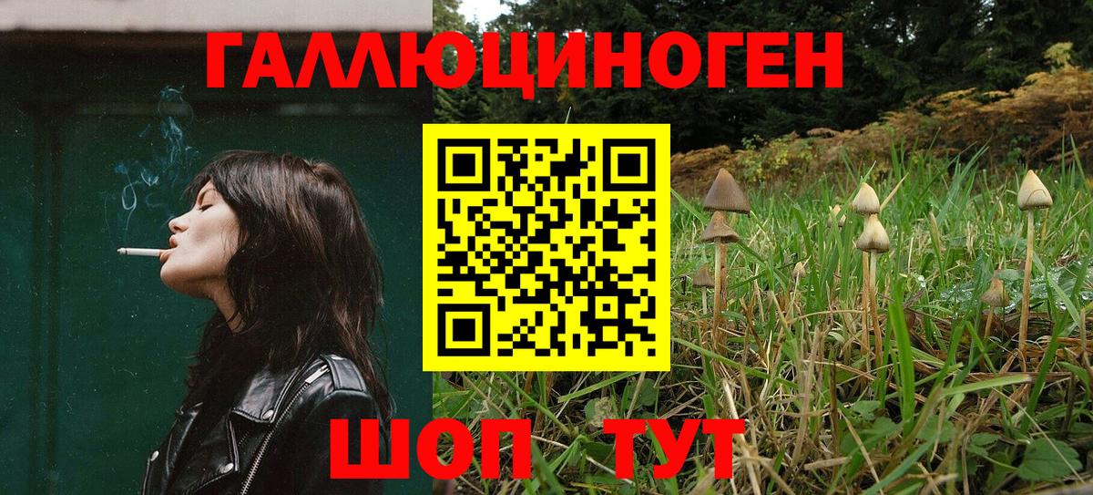 Псилоцибиновые грибы MAGIC MUSHROOMS  Вход с VPN  Нижний Тагил 