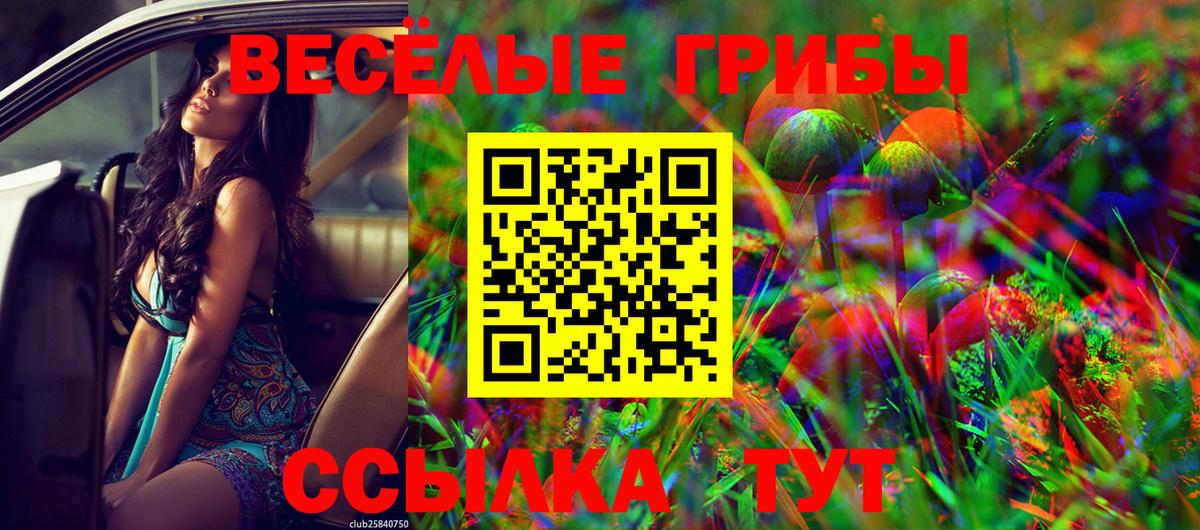 Галлюциногенные грибы ЛСД Нижний Тагил